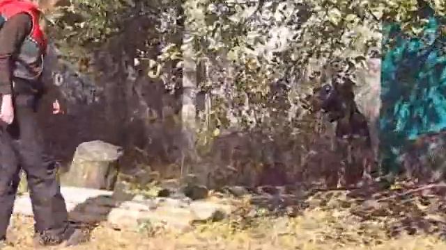 тиха украинская ночь смотреть онлайн