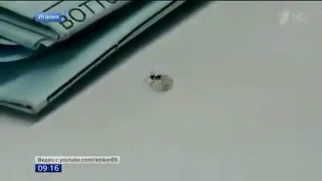 Бриллиант ұрлаған құмырсқа смотреть онлайн