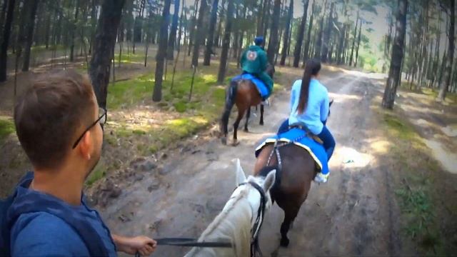 Прогулка на конях.Барнаул.Sony action cam hdr as50r. смотреть онлайн
