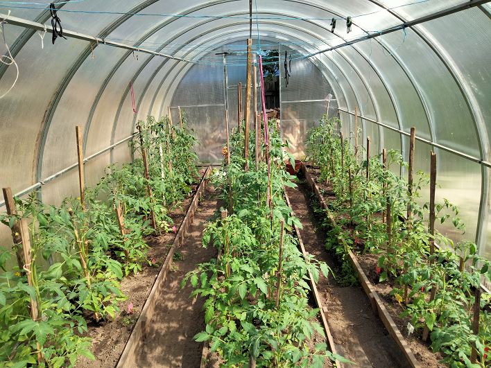 ТРИ ТЕПЛИЦЫ смотреть онлайн