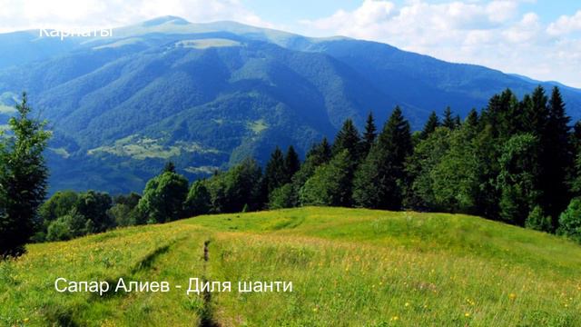 Сапар Алиев - Дила шанти 2022 смотреть онлайн