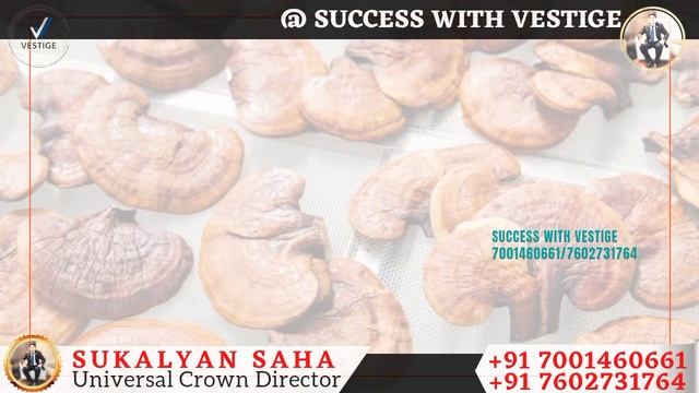 Vestige Ganoderma capsule Benefits in Bengali | Health Benefits |@SuccesswithVestige смотреть онлайн