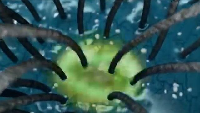 Рекламный ролик шампуня против перхоти Belita Viteks