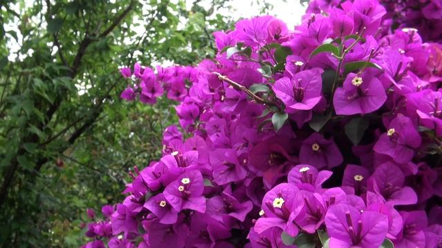 HDR-CX550 HD TEST смотреть онлайн