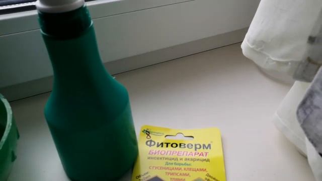 У Вас новая орхидея?!?И у меня"Алмазное небо"!!!Что нужно сделать в первую очередь после покупки ?❤ смотреть онлайн