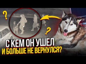 С кем УБЕЖАЛ Хася?Запись с камер видеонаблюдения.