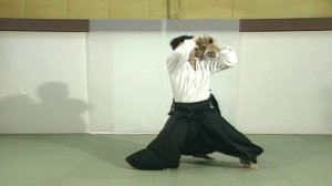 Дайто рю айкидзюцу. Уровень дзюдзюцу