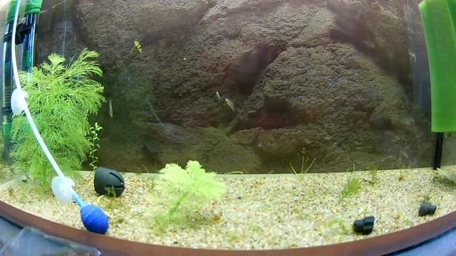 микрорасбора галактика. солнечный лучик и попандета фуркада новые жильцы смотреть онлайн