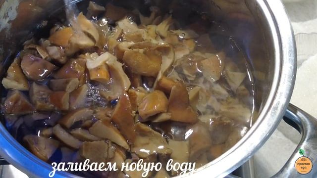 Вкусные рецепты с грибами
