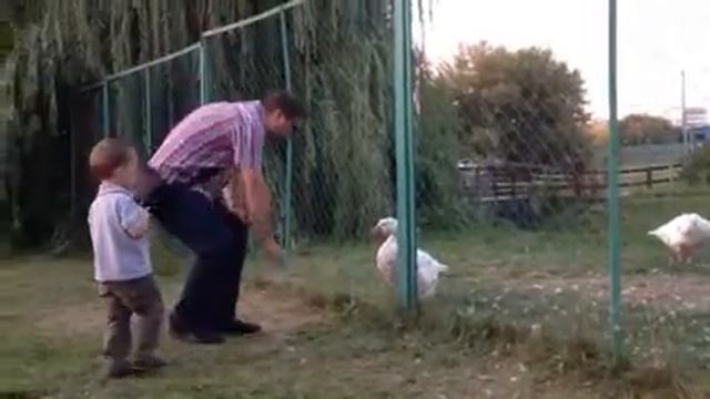 Мишутка и гуси-лебеди смотреть онлайн