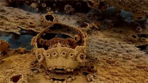 Фрактальное космическое путешествие Зартипо / Fractal Cosmic Trip Zartipo