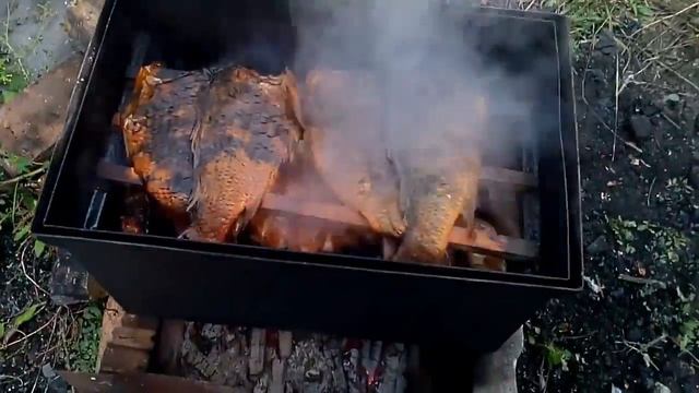 Копчения карпа смотреть онлайн