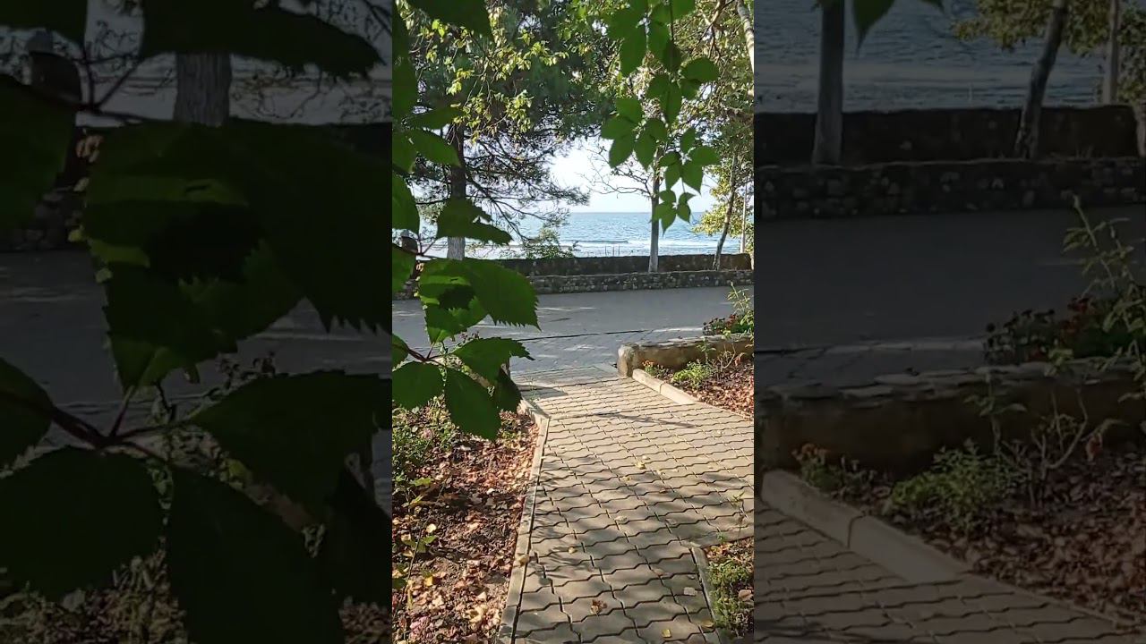 Вот оно - море. Утро. смотреть онлайн
