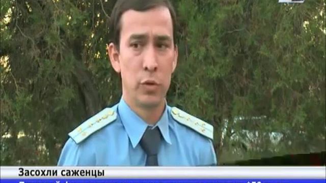В Таразе пропали зеленые насаждения на сумму 6 миллионов тенге смотреть онлайн