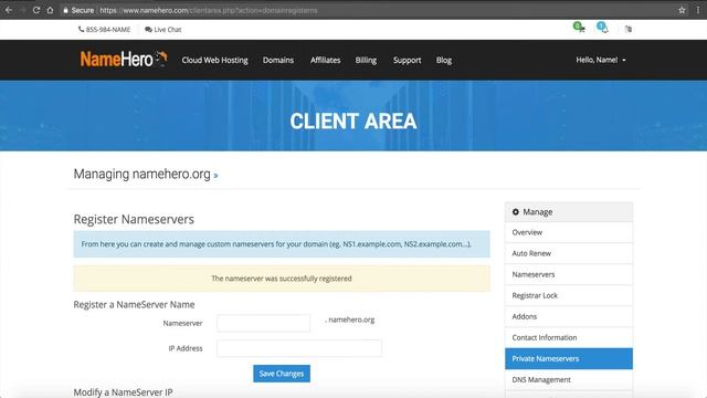Initial VPS Configuration & Private Name Servers смотреть онлайн