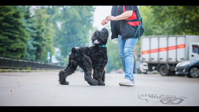 БАРМАЛЕЙ, 4 мес. смотреть онлайн