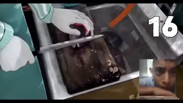 React to swimming to sea kill count смотреть онлайн