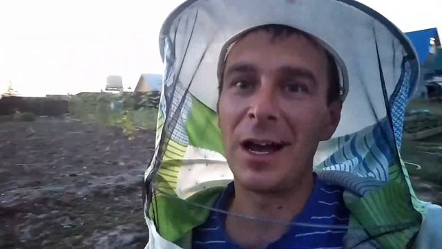 закормка пчёл в зиму сахарным сиропом