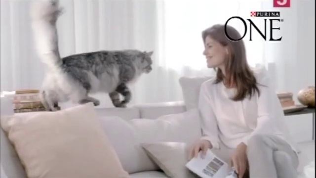 (2015) PURINA ONE (корм для кошек) - Здоровый питомец сегодня и завтра смотреть онлайн