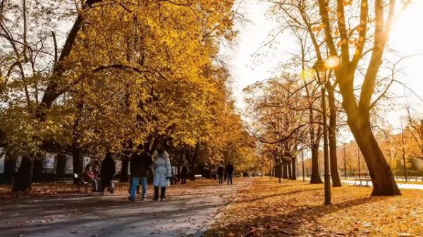 TOP 30 songs for CLASSICAL guitar you should know!!! The Best Acoustic Guitar Music Solo Compilatio