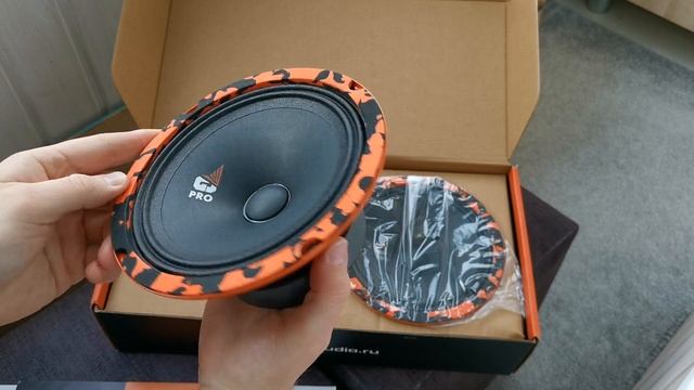 Эстрадная акустика DL Audio Gryphon Pro 165 смотреть онлайн