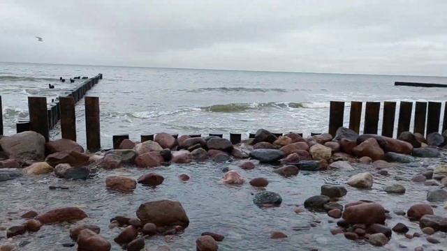 Разругались с Пашей в пух и прах. Мукбанги на берегу Балтийского моря. Светлогорск. смотреть онлайн