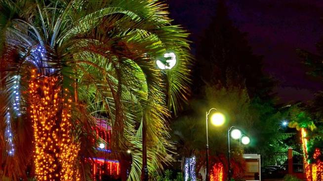 Наш отпуск 2024 часть первая
прогулки, море и прочее....