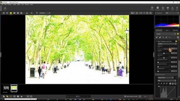 NIKON NX STUDIO TUTORIAL AND EDITING NIKON Z30 NEF RAW PHOTO...