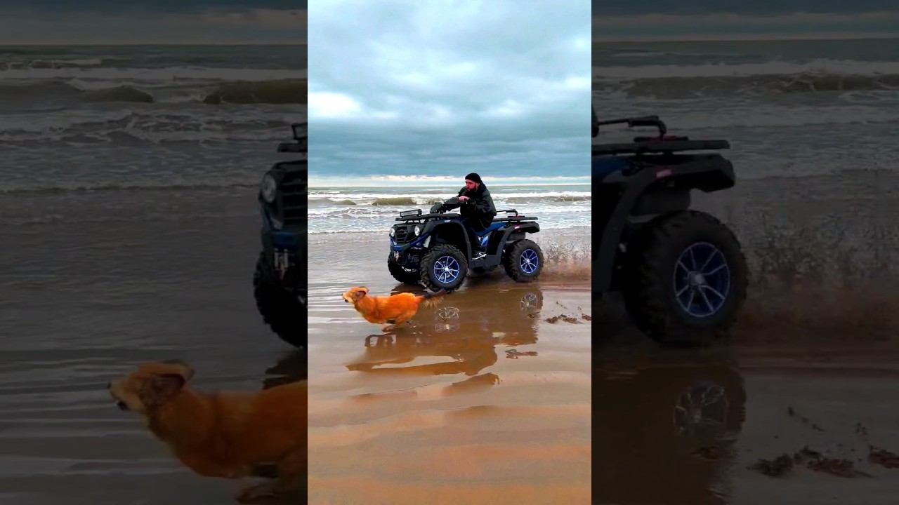 СРОЧНО‼️ Как называется ручей?? смотреть онлайн