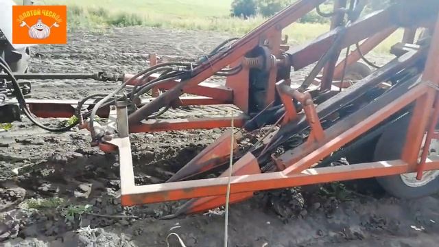 уборка чеснока в 2020г. смотреть онлайн