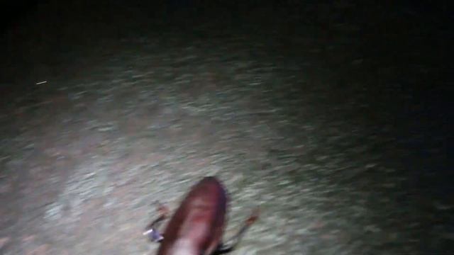 COMPORTEMENT DU TITANUS GIGANTEUS AU PIEGE U.V. - GUYANE - смотреть онлайн