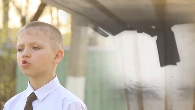 Помните! Через века, через года. автор - Р. Рождественский читает - Владислав Ящук смотреть онлайн