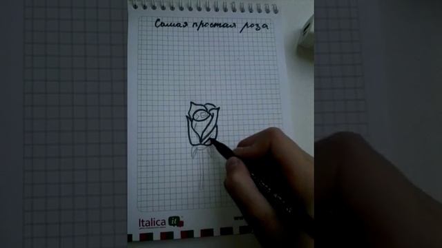 Как нарисовать розу смотреть онлайн