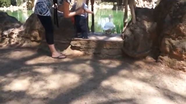 Испания, парк САМА, июнь 2012