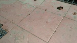 Якорь холла своими руками.Лучший Якорь для лодки.