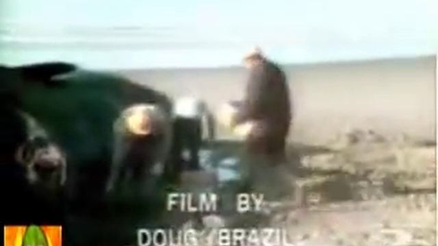 Dead Whale + Dynamite = Bad Idea смотреть онлайн