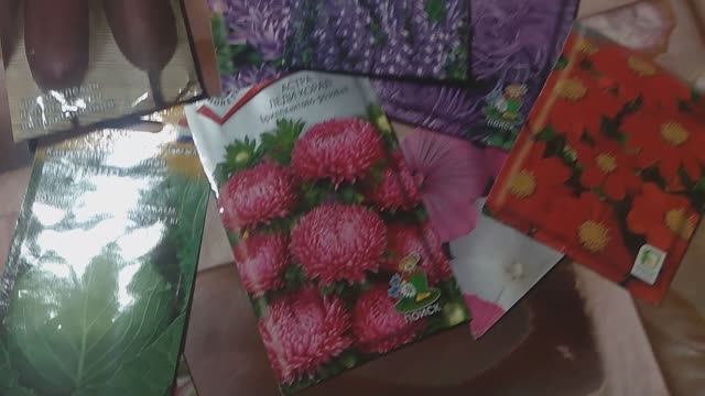 Что посеять под зиму и как правильно это сделать. смотреть онлайн