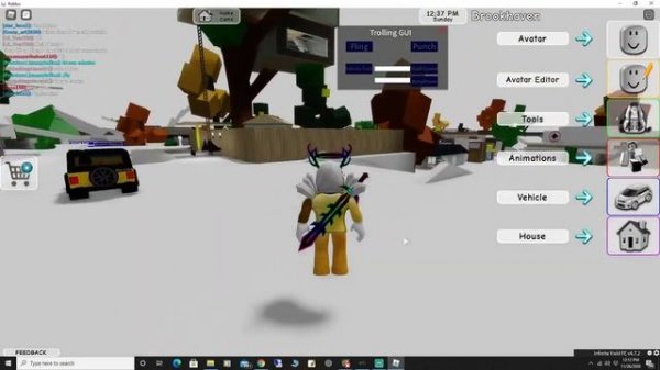 hacking roblox brook haven