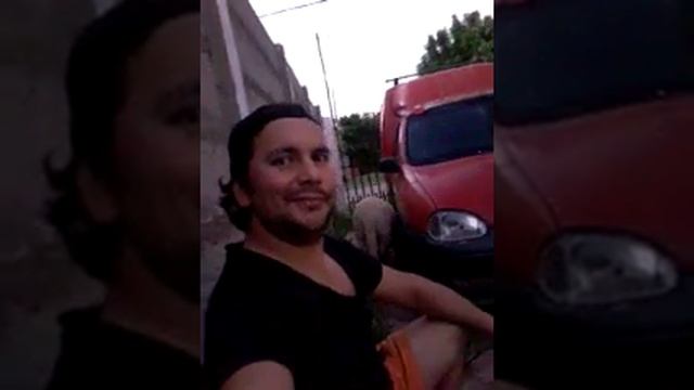 M video jor смотреть онлайн
