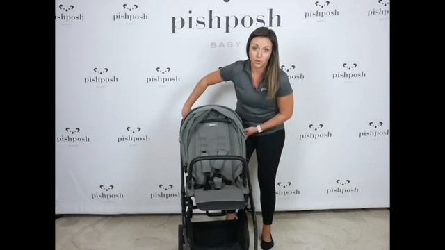 2022 Inglesina Electa