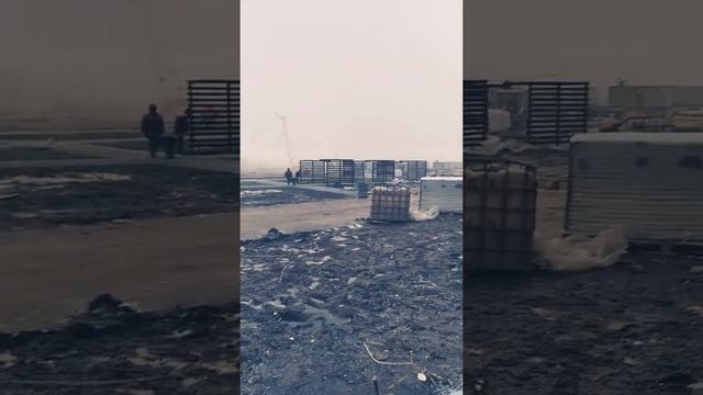 Цветной город смотреть онлайн