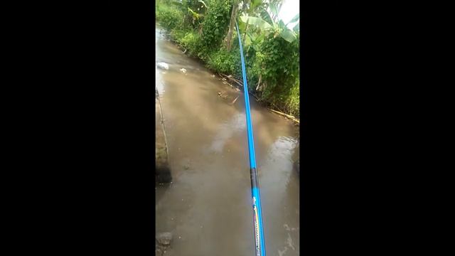 Sensasi Mikrofishing - Tanago Kid Maret 2021featuring Pemancing Belut смотреть онлайн