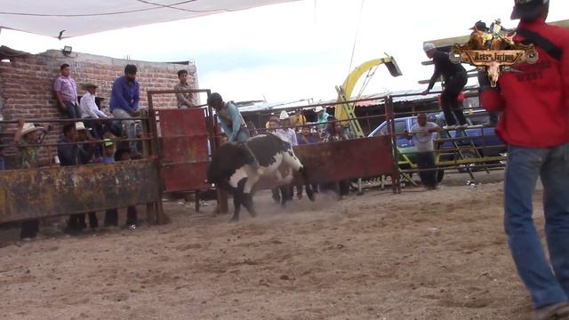 Jaripeyazo en Rancho Los Alamos de José Luis Leal смотреть онлайн
