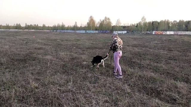 Следовая работа 2 смотреть онлайн