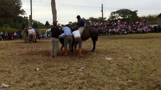 Ginete Felipe Felix смотреть онлайн