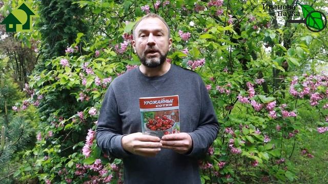 КЛОПОВ ЗАКЛОПОМОРИМ! Самый опасный вредитель последних лет! Без пощады! Нашатырь и мыло НЕ ПОМОГУТ! смотреть онлайн