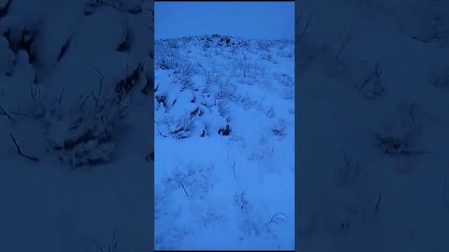Ветрено по этому надо понимать как одеться и главное стрельн🤔 смотреть онлайн