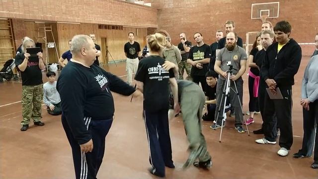 Systema Ryabko International Seminar 2017