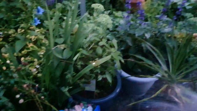5 Minute ASMR: Outside! Watering the Garden. (First Person View)(Lo-Fi) смотреть онлайн