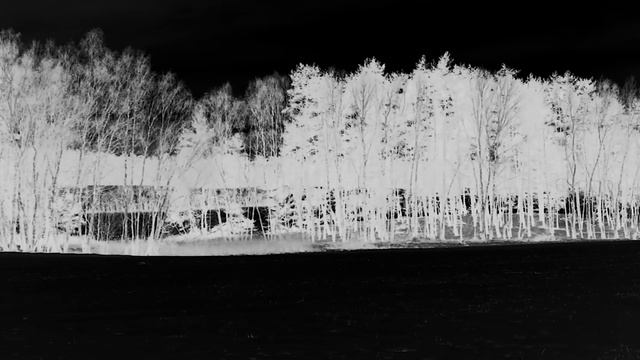 Naturata Brutalismus - Apetitus Naturalis